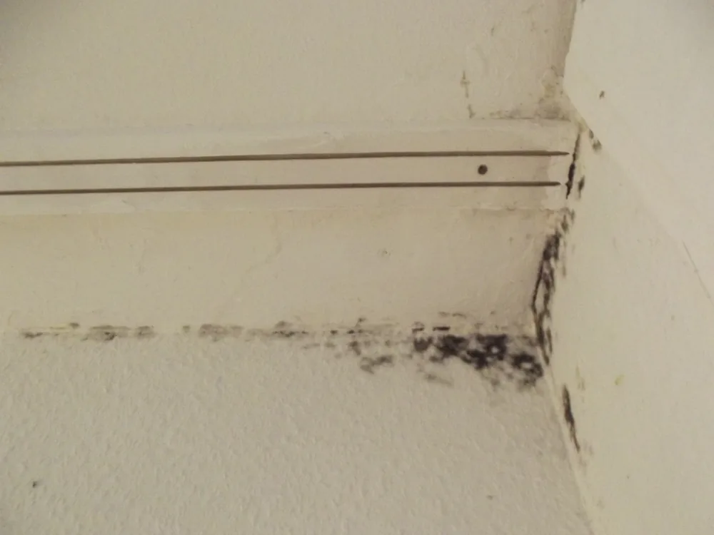 Technician in protective gear removing a mold-damaged wall in a North Brookfield home